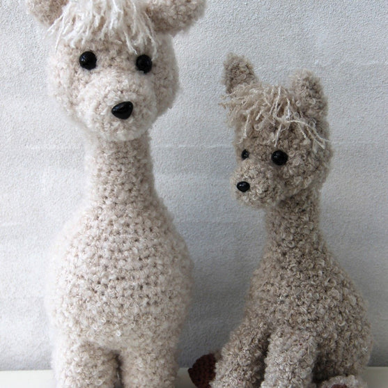 Alpaca Family
2