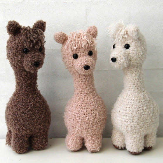 Alpaca Family
4